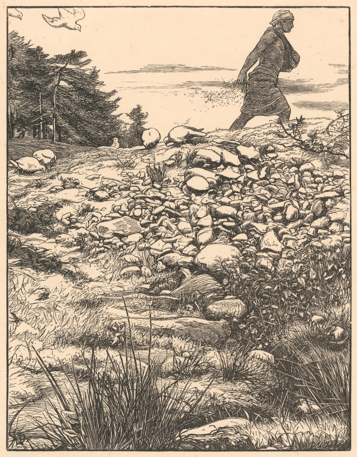 Sir John Everett Millais, The Parable of the Sower, 1863